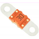 victron-midi-sakring-100a-58v-for-48v-produkter
