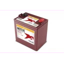 deep-cycle-traktionsbatteri-8v-158ah-262x179x273mm-vanster